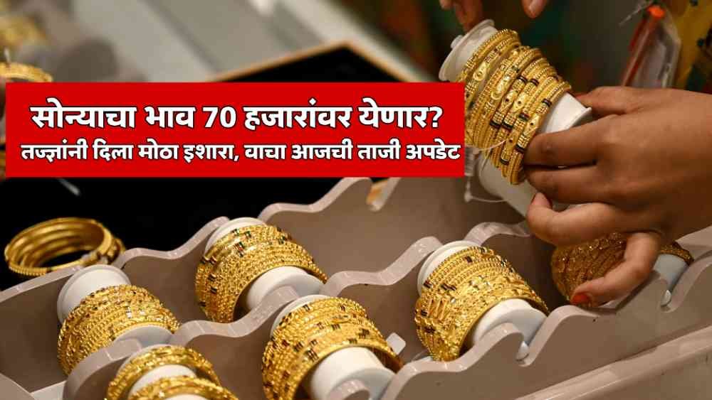 Gold Price Update February 2026