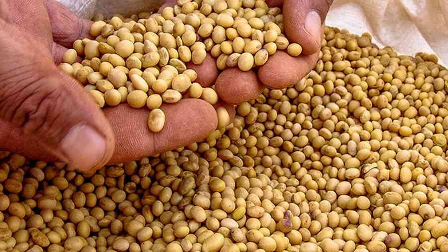 Soybean Rate Today Maharashtra 2026